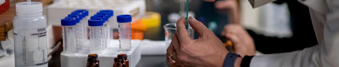 Hands of an adult carefully measuring samples in a chemistry lab